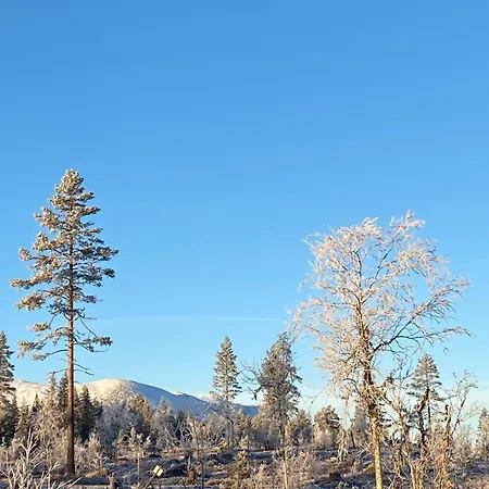 Feriehus Jantelaaven Trysil
